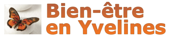 Logo Bien-être en Yvelines foncé